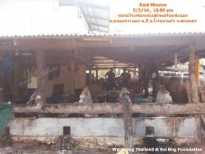 Dog Tannery (3)