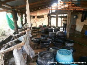arrest dog Tannery in ThaRae 