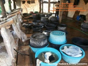 Dog Tannery (6)
