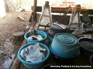Dog Tannery (7)