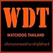 Rescued 20 dogs from Meat Trade in NongKhai Thailand