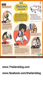 300x600 how save a dog 3