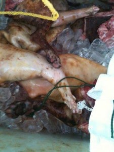 dog meat 1