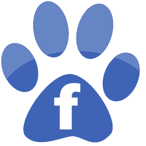 Facebook dogs 3