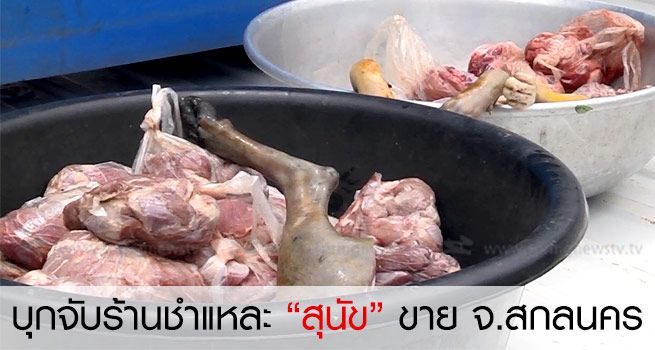 Seventy kilograms dog meat seized in Thailand