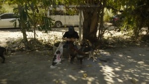 Pattaya Dog Shelter120 3