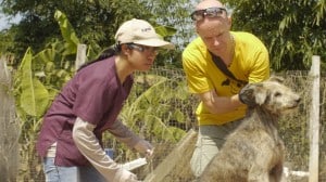 Pattaya Dog Shelter148 3