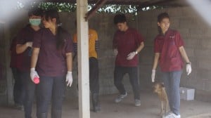 Pattaya Dog Shelter172 3