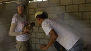 Pattaya Dog Shelter189 3