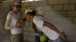 Pattaya Dog Shelter190 3