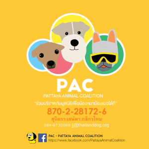 Pattaya Animal Coalition Donation